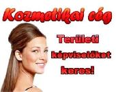 Ter�leti k�pvisel�ket keres�nk!